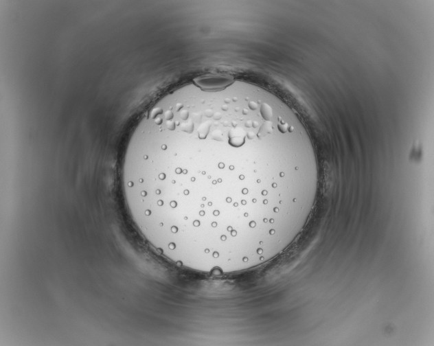 X0000090750451200708172031
