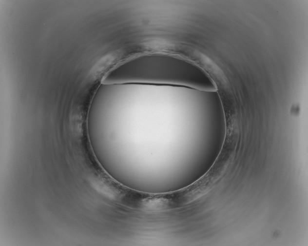 X0000090750452200708172031
