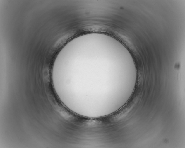 X0000090750453200708172031