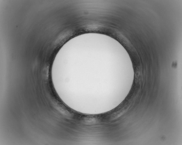 X0000090750454200708172031