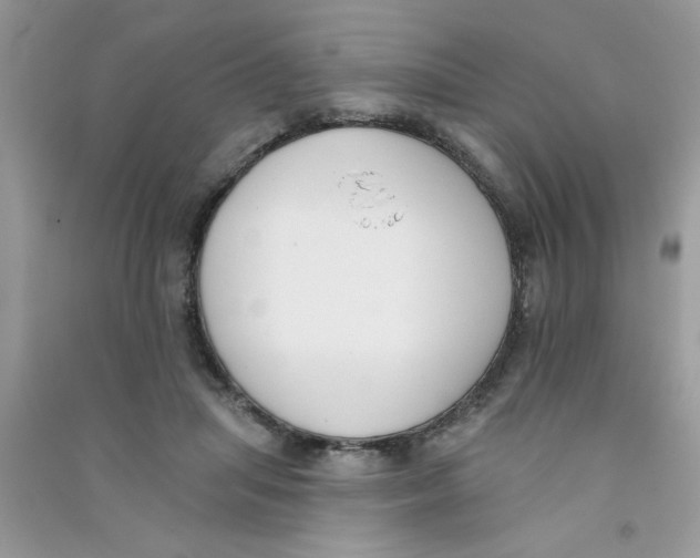 X0000090750455200708172031