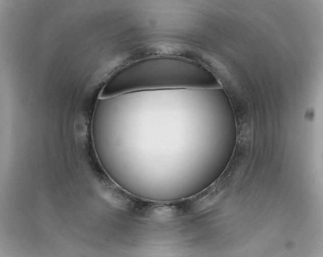 X0000090750456200708172031