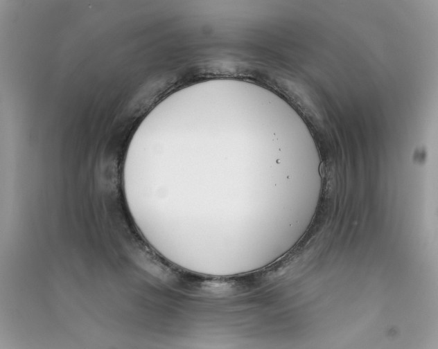 X0000090750457200708172031