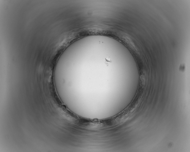 X0000090750458200708172031