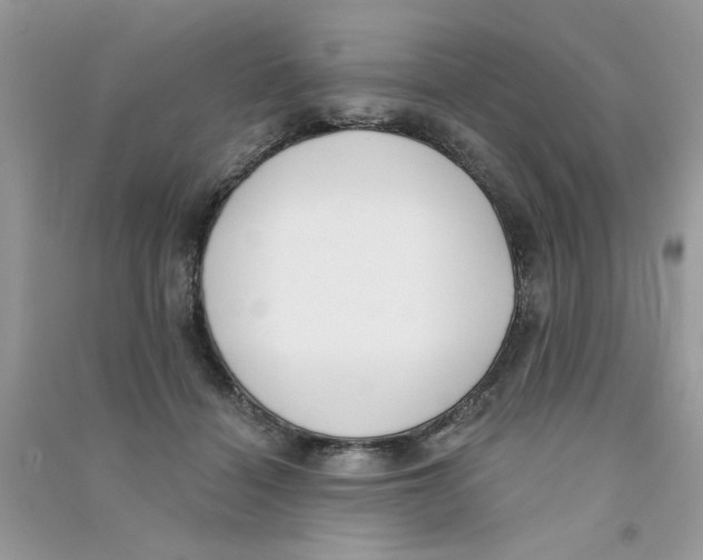 X0000090750460200708172031