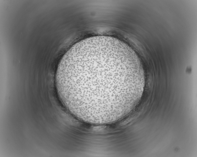 X0000090750461200708172031