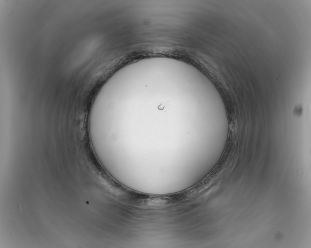 X0000090750462200708172031