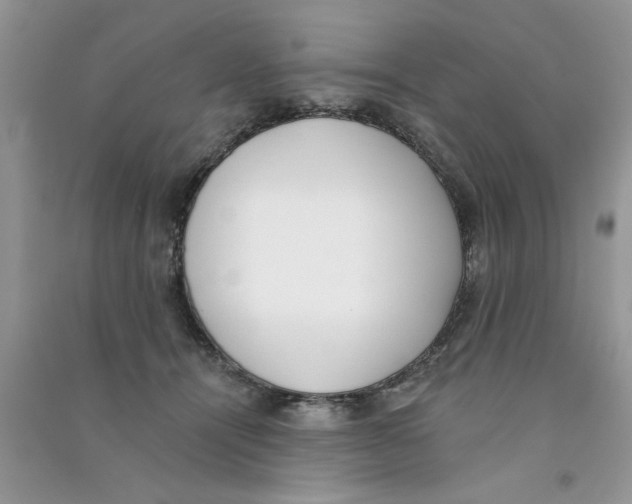 X0000090750464200708172031