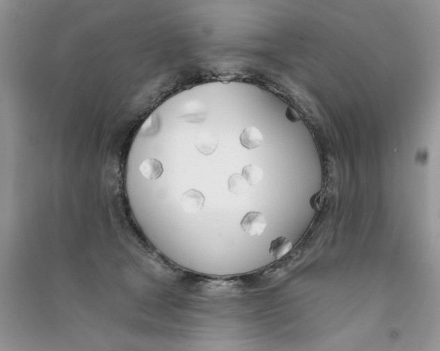 X0000090750465200708172031