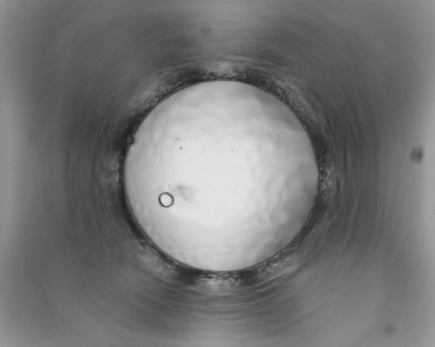 X0000090750466200708172031