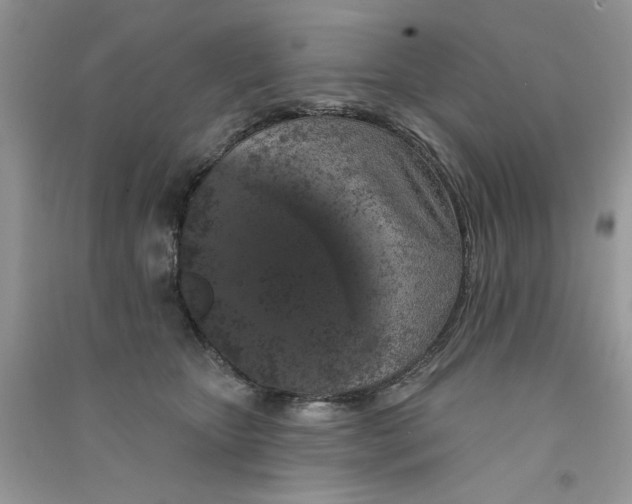 X0000090750467200708172031