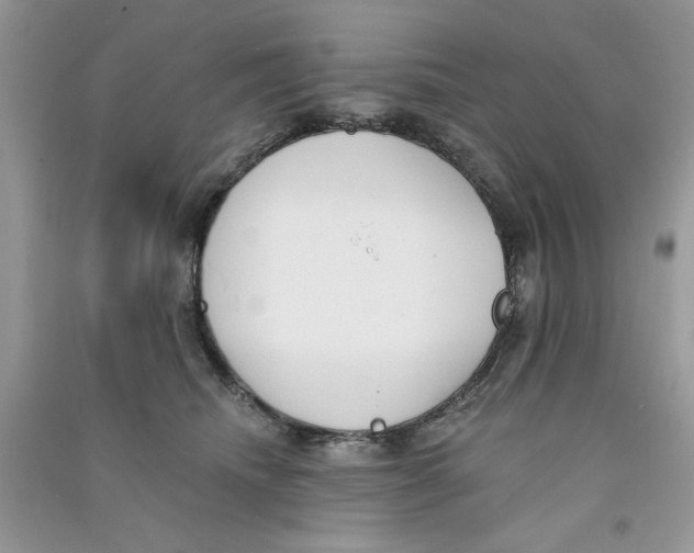 X0000090750468200708172031
