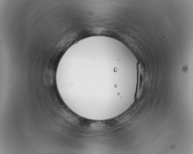 X0000090750470200708172031