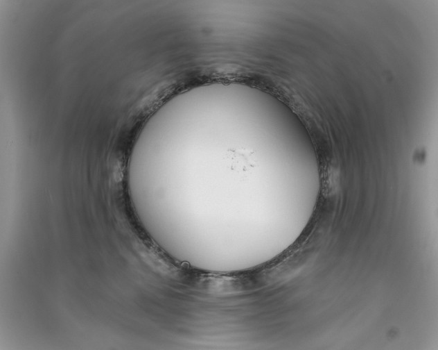 X0000090750472200708172031
