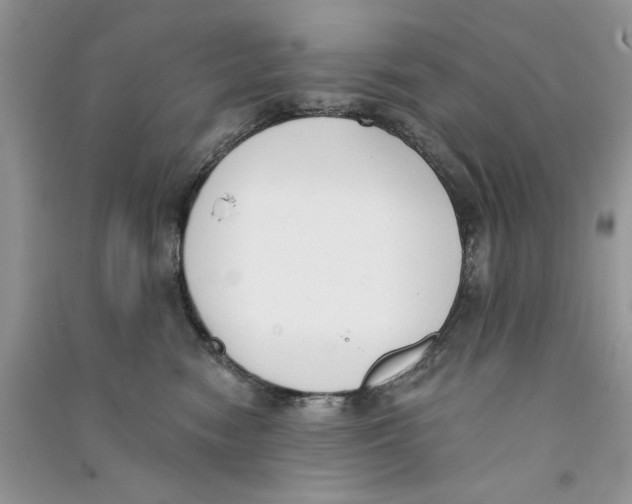 X0000090750474200708172031