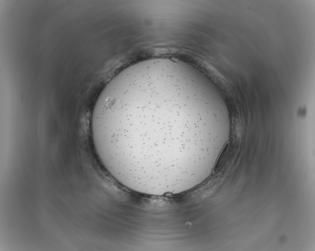 X0000090750475200708172031