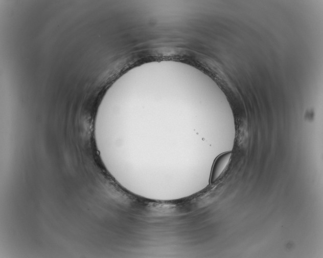 X0000090750476200708172031