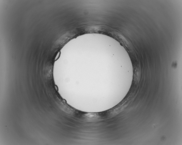 X0000090750477200708172031