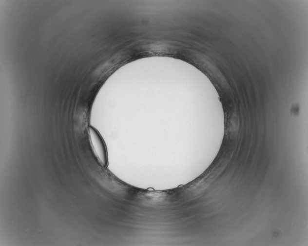 X0000090750478200708172031