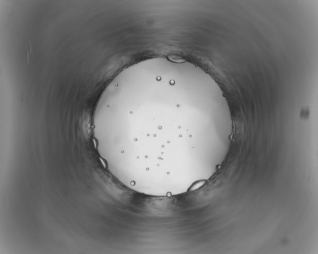 X0000090750479200708172031