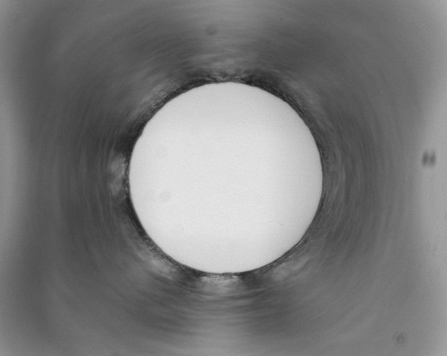 X0000090750480200708172031