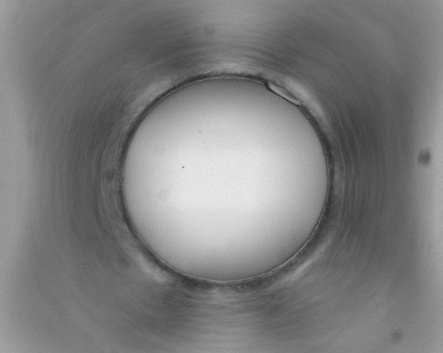 X0000090750481200708172030