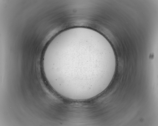 X0000090750482200708172030