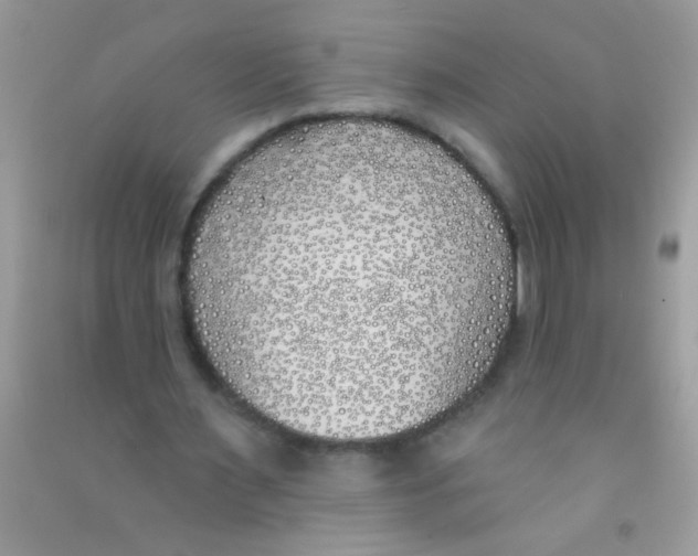 X0000090750483200708172030