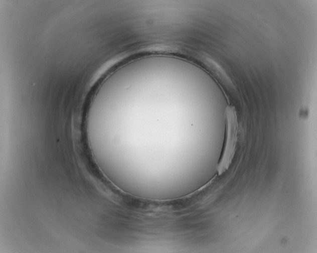 X0000090750484200708172030