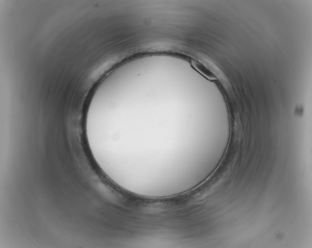 X0000090750485200708172030