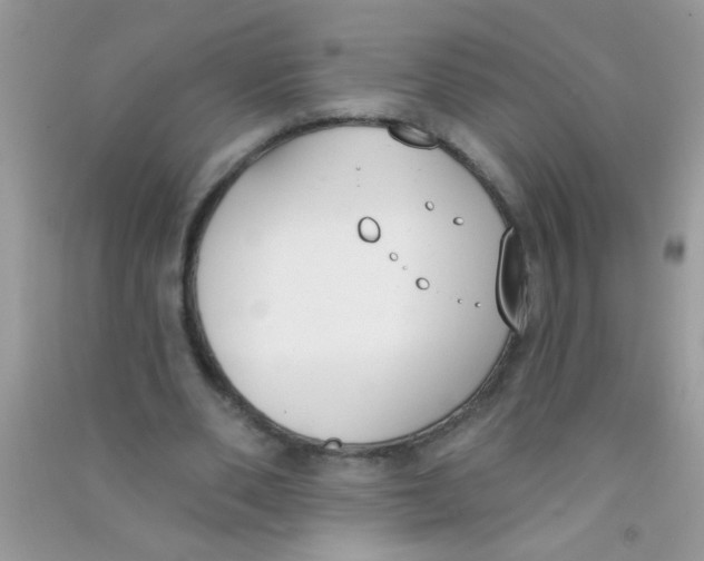 X0000090750486200708172030