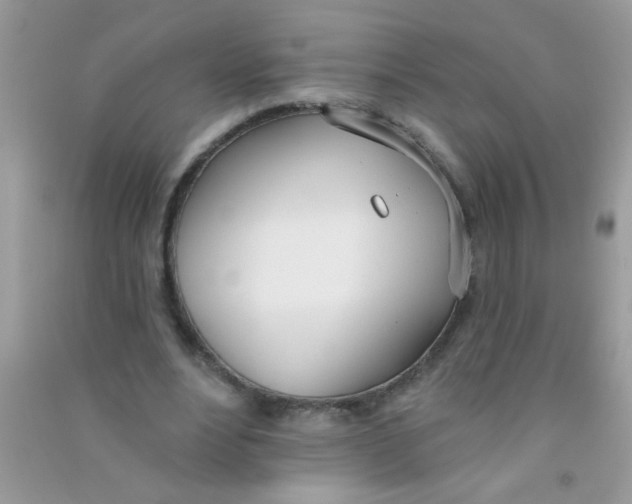 X0000090750488200708172030