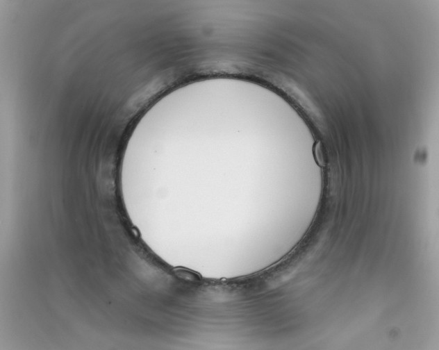 X0000090750489200708172030