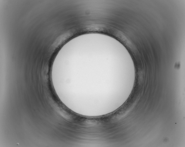 X0000090750490200708172030