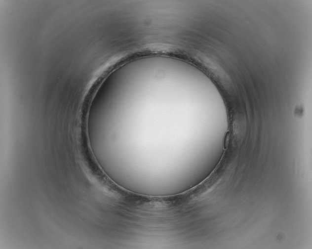 X0000090750492200708172030