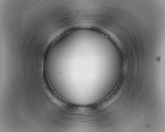 X0000090750493200708172030