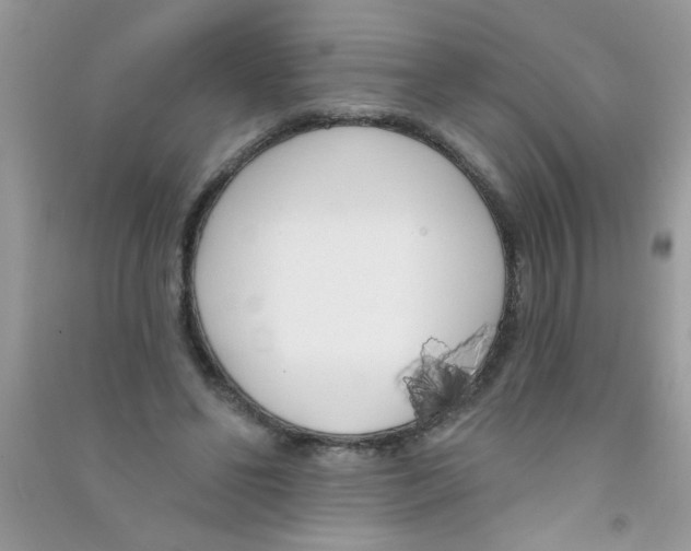 X0000090750494200708172030