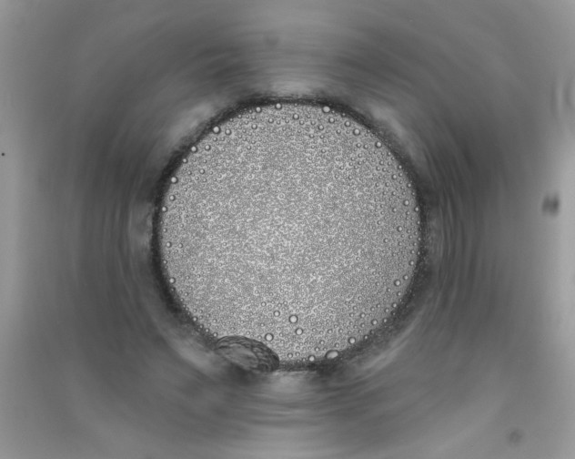 X0000090750495200708172030