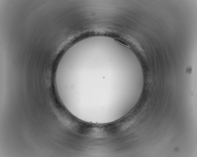 X0000090750496200708172030