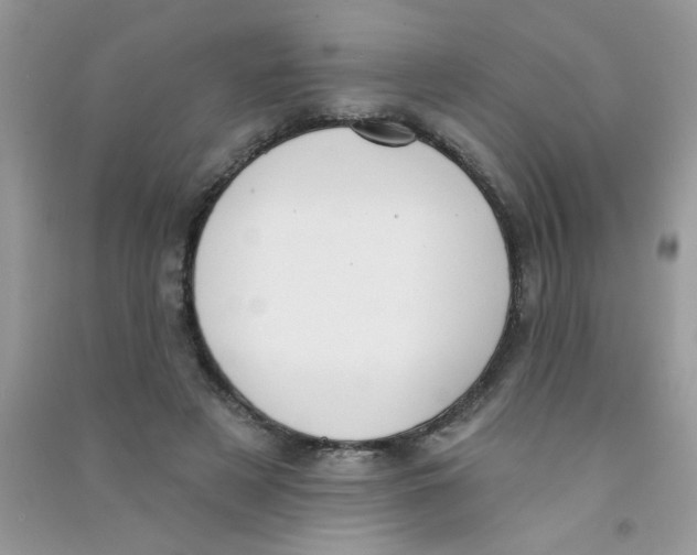 X0000090750497200708172030