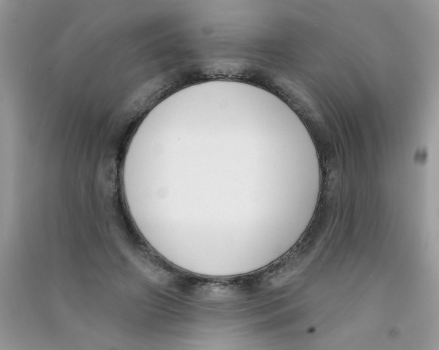 X0000090750498200708172030