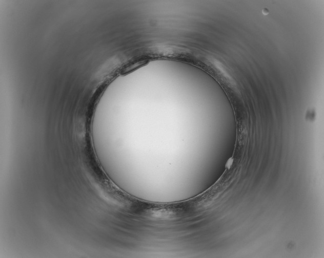 X0000090750500200708172030