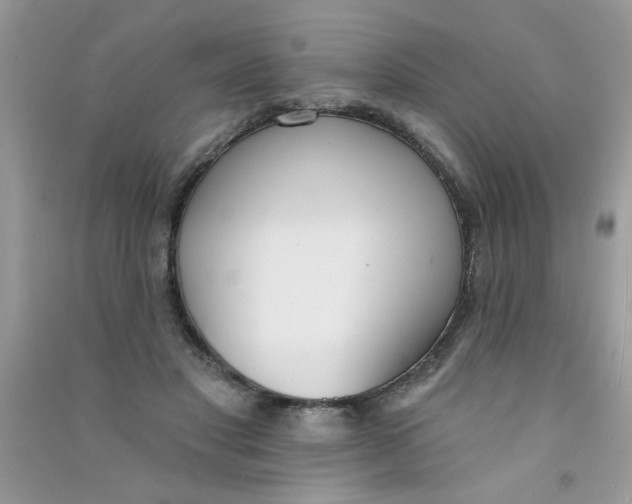 X0000090750501200708172030