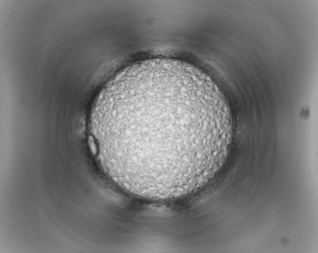 X0000090750502200708172030