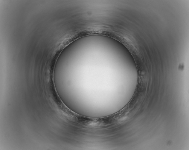 X0000090750504200708172030