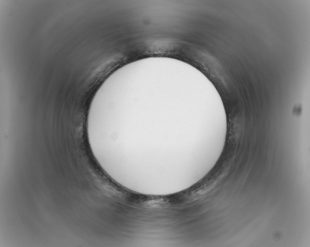 X0000090750505200708172030