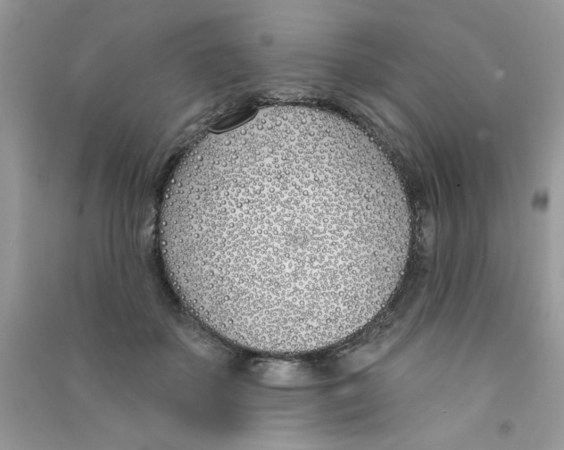 X0000090750507200708172030