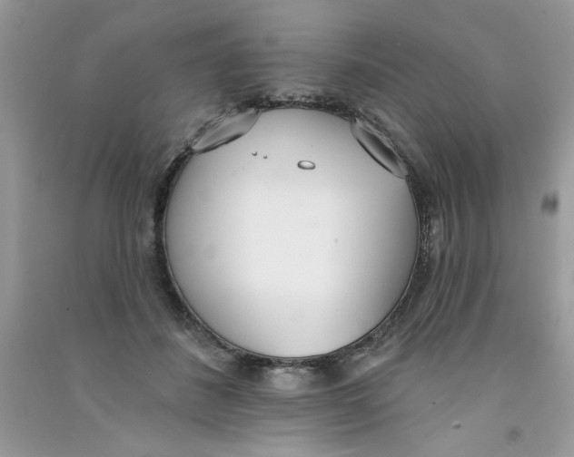 X0000090750508200708172030