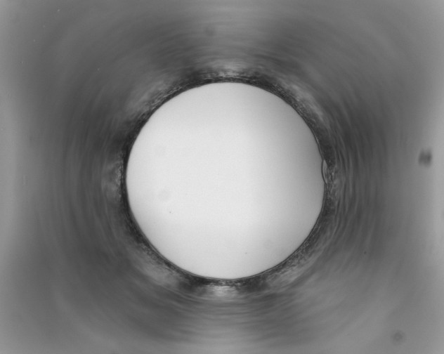 X0000090750509200708172030