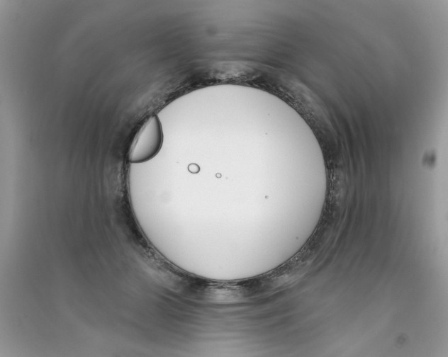 X0000090750510200708172030